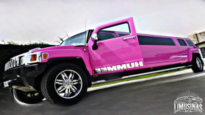 imagen ilustra una bonita hummer rosa grande